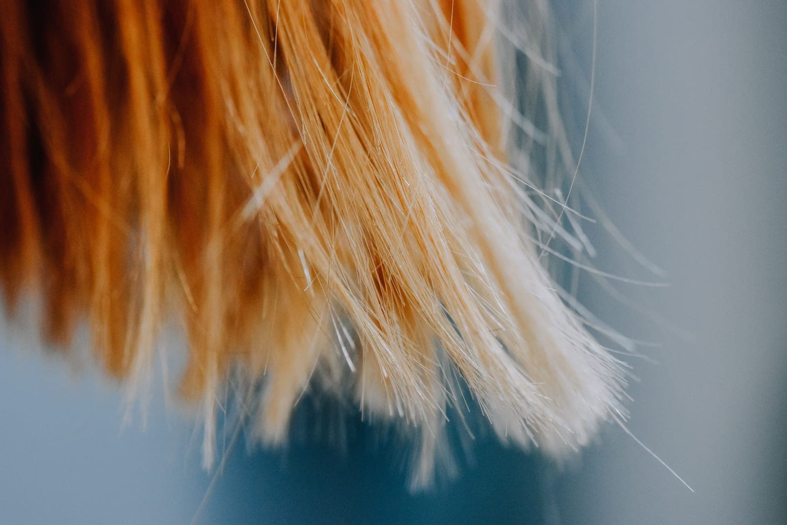A hair dryer diffuser attachment